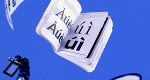 Graphic Design Services Media